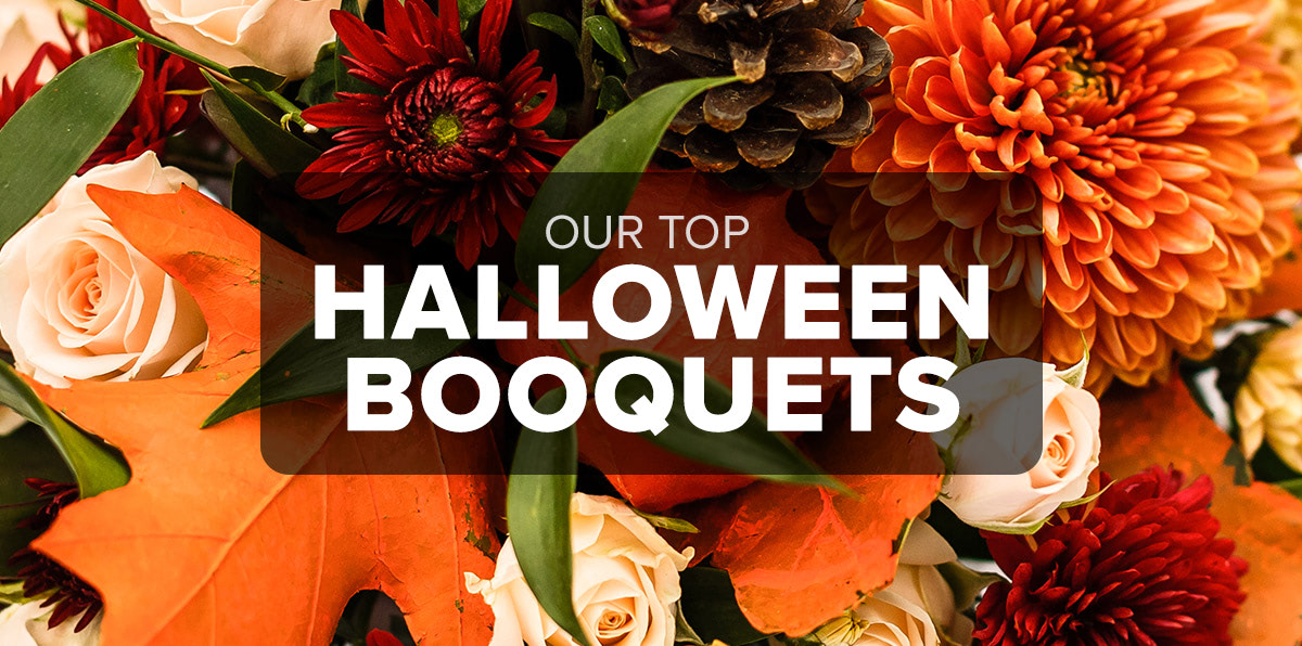 Get Spooky This Halloween with the Weirdest, Scariest Flowers