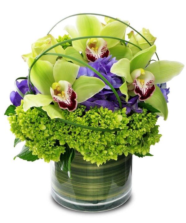 green orchids and hydranea in a vase