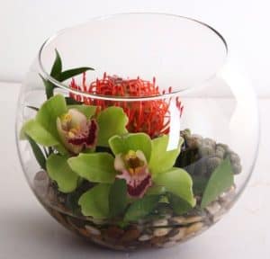 Miniature river rocks are the base for this unique arrangement including orchid blossoms and a pincushion protea.
