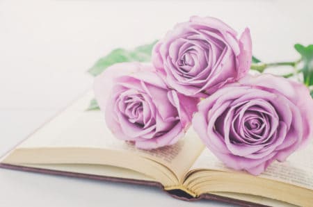 Close up of violet purple rose flowers and opened book on white table background with vintage tone